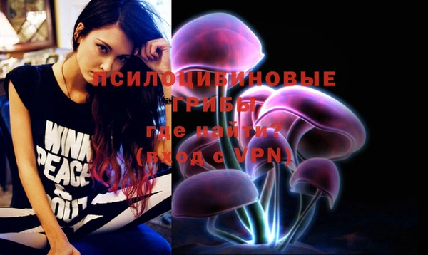 ГАЛЛЮЦИНОГЕННЫЕ ГРИБЫ Алексеевка