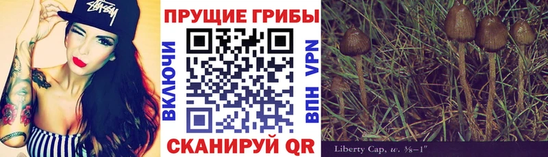 наркота  Арамиль  Галлюциногенные грибы Psilocybine cubensis 